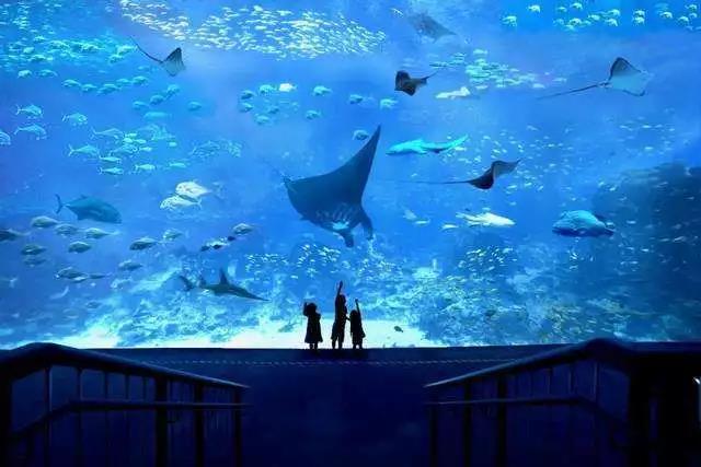 海洋館水質處理解決方案,海洋館水質處理,海洋館水處理系統(tǒng) 海洋館水質處理解決方案,海洋館水質處理,海洋館水處理系統(tǒng)