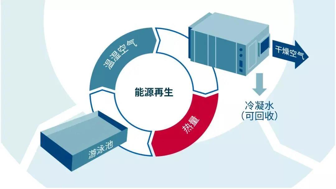 低氯游泳館,無氯游泳池,低氯泳池，低氯系統(tǒng)