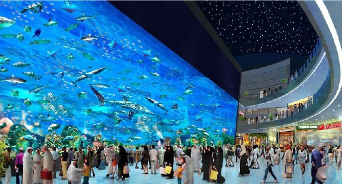 海洋館設(shè)計(jì)，海洋館設(shè)計(jì)要點(diǎn)，海洋館設(shè)計(jì)公司