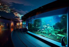 水族館的建設(shè)過程中需要考慮哪些因素？需要哪些設(shè)備呢？